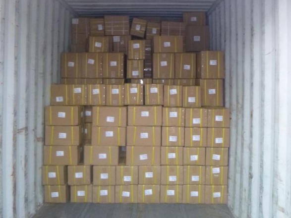 Case Study: From Qingdao Shipping to Rotterdam, 1*20GP container DDP, pet supplies.
