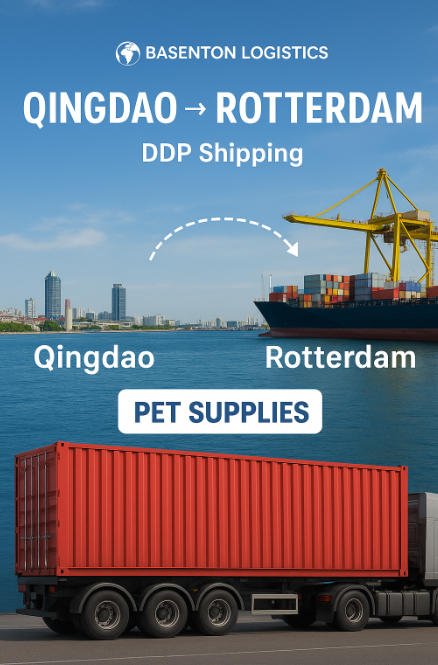 จากการขนส่งทางเรือชิงเต่าไปยังรอตเตอร์ดัม